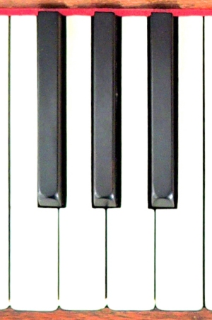 Singkreis Herrlesbergtreff