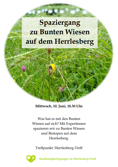Spaziergang Wiesen Herrlesberg Treff